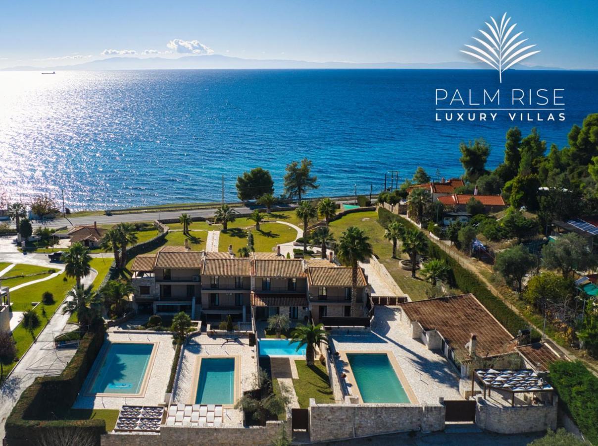 Palmrise Luxury Villas By Travel Pro Services - Nea Skioni Halkidiki מראה חיצוני תמונה